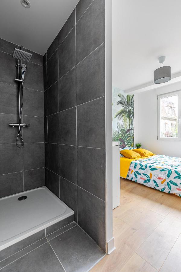 Apartament Strasbourg Centre / Krutneau Zewnętrze zdjęcie