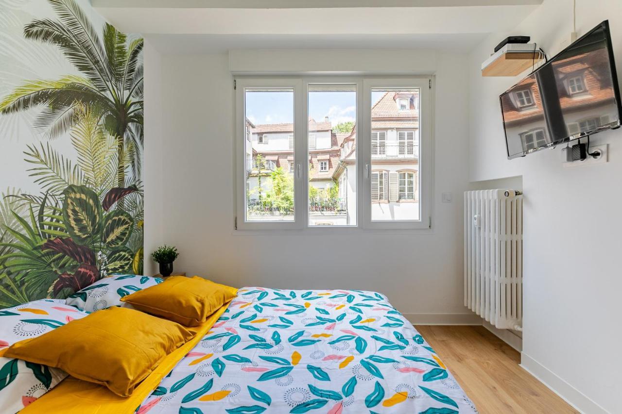 Apartament Strasbourg Centre / Krutneau Zewnętrze zdjęcie